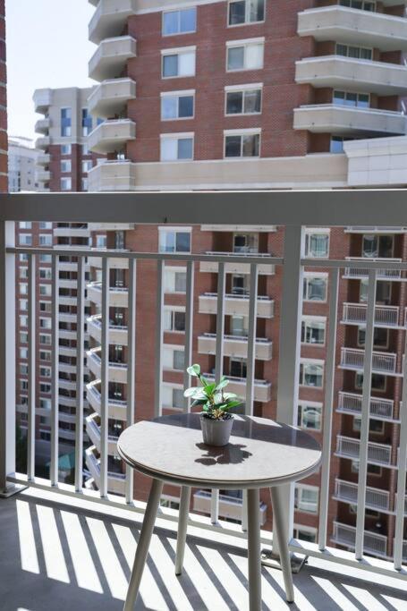 Bright Apartment Walk To Ballston Metro Arlington Exterior foto